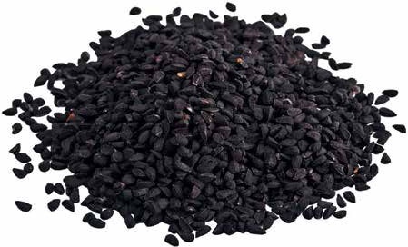 Иллюстрация к книге — Кулинарная энциклопедия. Том 23. Н-О (Налим – Облатка) [_61.jpg]