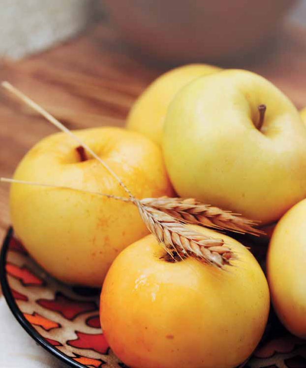 Иллюстрация к книге — Кулинарная энциклопедия. Том 22. М-Н (Мостарда – Наливка) [_15.jpg]