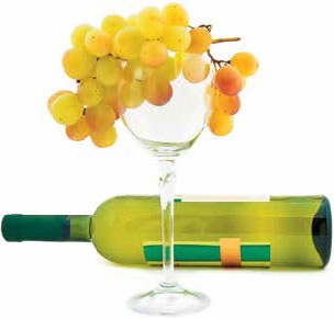 Иллюстрация к книге — Кулинарная энциклопедия. Том 22. М-Н (Мостарда – Наливка) [_38.jpg]