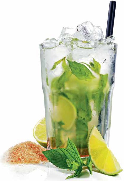 Иллюстрация к книге — Кулинарная энциклопедия. Том 22. М-Н (Мостарда – Наливка) [_4.jpg]