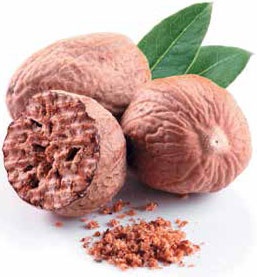 Иллюстрация к книге — Кулинарная энциклопедия. Том 22. М-Н (Мостарда – Наливка) [_40.jpg]