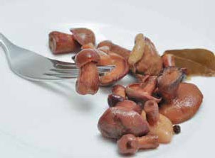 Иллюстрация к книге — Кулинарная энциклопедия. Том 22. М-Н (Мостарда – Наливка) [_5.jpg]