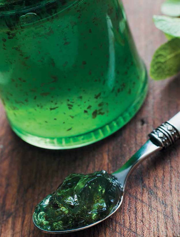 Иллюстрация к книге — Кулинарная энциклопедия. Том 22. М-Н (Мостарда – Наливка) [_76.jpg]