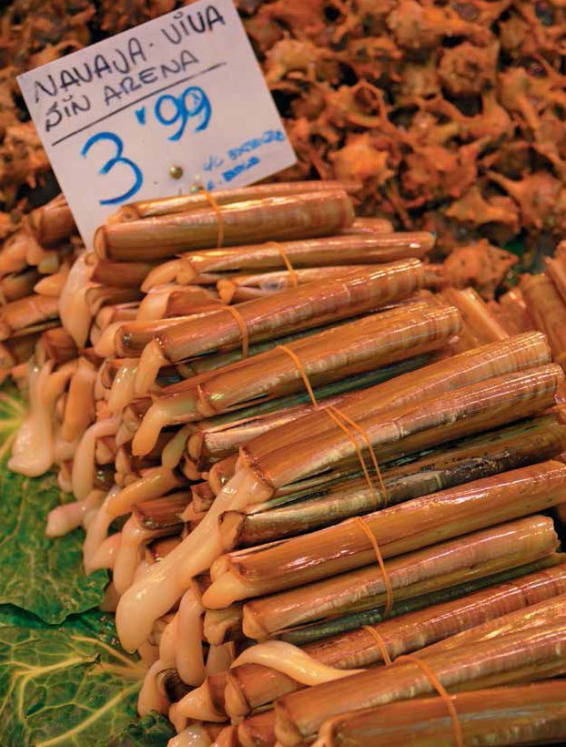 Иллюстрация к книге — Кулинарная энциклопедия. Том 22. М-Н (Мостарда – Наливка) [_84.jpg]