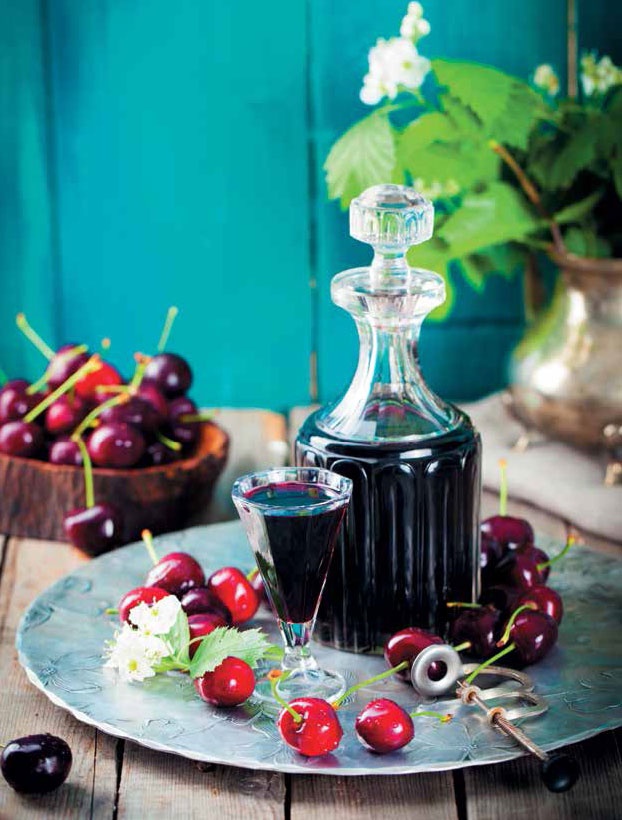 Иллюстрация к книге — Кулинарная энциклопедия. Том 22. М-Н (Мостарда – Наливка) [_91.jpg]