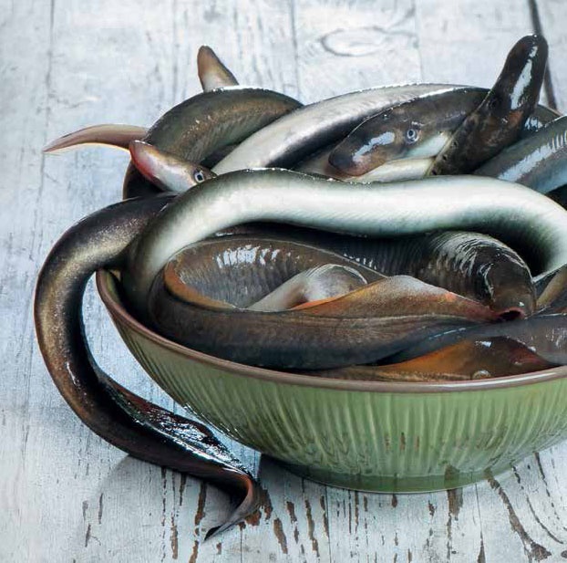 Иллюстрация к книге — Кулинарная энциклопедия. Том 21. М (Минеральная вода – Морской язык) [_5.jpg]