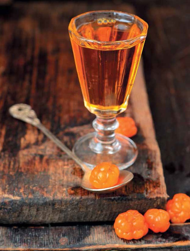 Иллюстрация к книге — Кулинарная энциклопедия. Том 21. М (Минеральная вода – Морской язык) [_75.jpg]