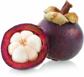 Иллюстрация к книге — Кулинарная энциклопедия. Том 19. М (Мальвазия – Мастика) [_14.jpg]