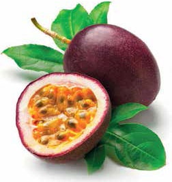 Иллюстрация к книге — Кулинарная энциклопедия. Том 19. М (Мальвазия – Мастика) [_36.jpg]