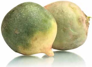 Иллюстрация к книге — Кулинарная энциклопедия. Том 19. М (Мальвазия – Мастика) [_43.jpg]