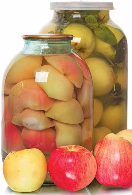 Иллюстрация к книге — Кулинарная энциклопедия. Том 19. М (Мальвазия – Мастика) [_60.jpg]