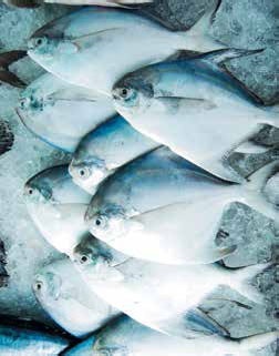 Иллюстрация к книге — Кулинарная энциклопедия. Том 19. М (Мальвазия – Мастика) [_94.jpg]