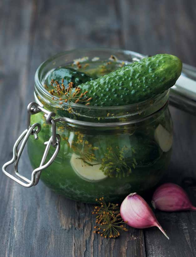 Иллюстрация к книге — Кулинарная энциклопедия. Том 18. Л-М (Логанова ягода – Малосольные огурцы) [_102.jpg]