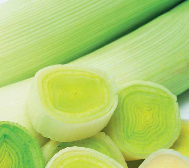 Иллюстрация к книге — Кулинарная энциклопедия. Том 18. Л-М (Логанова ягода – Малосольные огурцы) [_35.jpg]