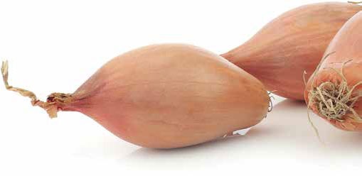 Иллюстрация к книге — Кулинарная энциклопедия. Том 18. Л-М (Логанова ягода – Малосольные огурцы) [_40.jpg]