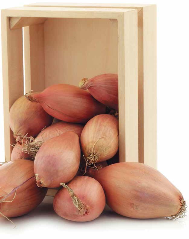 Иллюстрация к книге — Кулинарная энциклопедия. Том 18. Л-М (Логанова ягода – Малосольные огурцы) [_41.jpg]