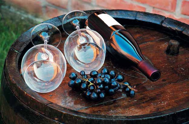 Иллюстрация к книге — Кулинарная энциклопедия. Том 18. Л-М (Логанова ягода – Малосольные огурцы) [_59.jpg]