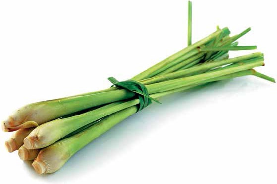 Иллюстрация к книге — Кулинарная энциклопедия. Том 17. Л (Лакса – Лобио) [_44.jpg]