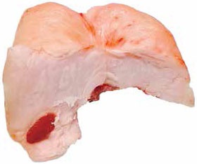 Иллюстрация к книге — Кулинарная энциклопедия. Том 16. К-Л (Куллама – Лакрица) [_24.jpg]