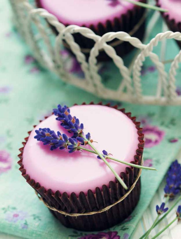 Иллюстрация к книге — Кулинарная энциклопедия. Том 16. К-Л (Куллама – Лакрица) [_76.jpg]