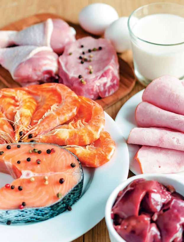 Иллюстрация к книге — Кулинарная энциклопедия. Том 15. К. Креветки - Кулич [_13.jpg]