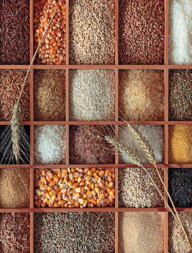 Иллюстрация к книге — Кулинарная энциклопедия. Том 15. К. Креветки - Кулич [_44.jpg]