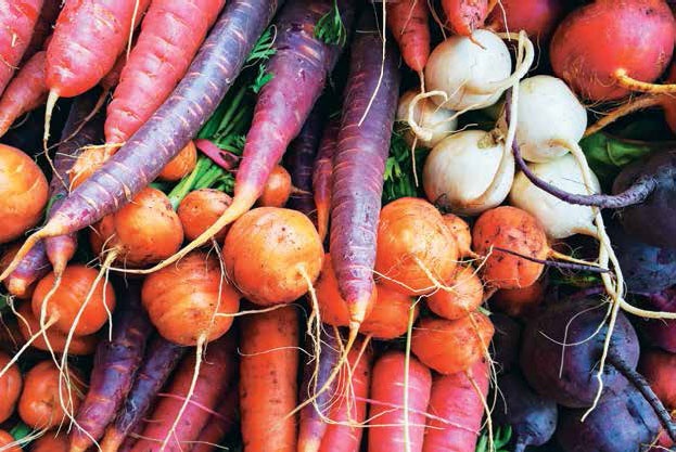 Иллюстрация к книге — Кулинарная энциклопедия. Том 14. К (Коньяк – Крахмал) [_30.jpg]