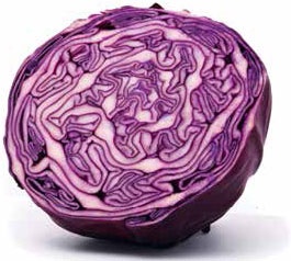 Иллюстрация к книге — Кулинарная энциклопедия. Том 14. К (Коньяк – Крахмал) [_87.jpg]