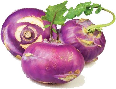 Иллюстрация к книге — Кулинарная энциклопедия. Том 13. К (Кладкака – Конфитюр) [_74.jpg]