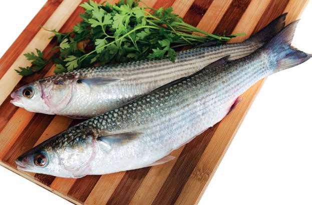 Иллюстрация к книге — Кулинарная энциклопедия. Том 12. К (Кашови – Кишмиш) [_37.jpg]