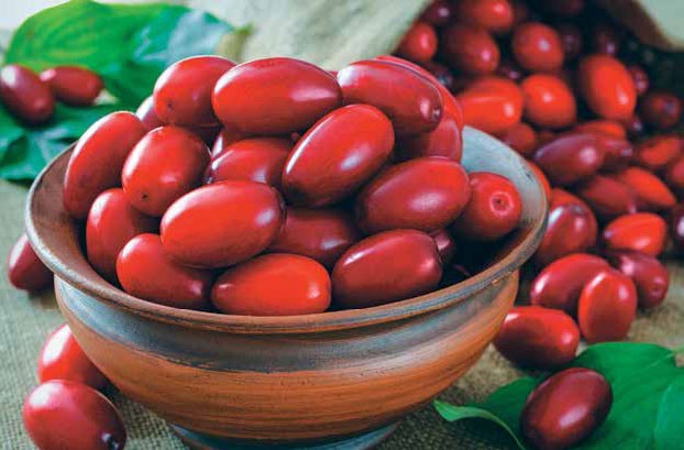 Иллюстрация к книге — Кулинарная энциклопедия. Том 12. К (Кашови – Кишмиш) [_59.jpg]