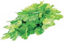 Иллюстрация к книге — Кулинарная энциклопедия. Том 12. К (Кашови – Кишмиш) [_70.jpg]