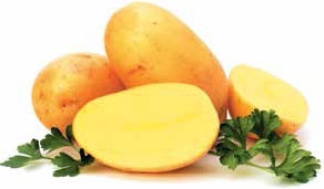 Иллюстрация к книге — Кулинарная энциклопедия. Том 11. К (Капиротада – Кашкавал) [_56.jpg]