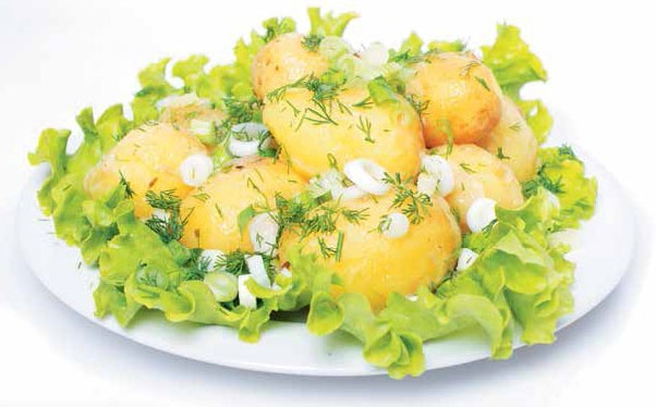 Иллюстрация к книге — Кулинарная энциклопедия. Том 11. К (Капиротада – Кашкавал) [_57.jpg]