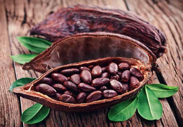 Иллюстрация к книге — Кулинарная энциклопедия. Том 10. И-К (Испанская кухня – Каперсы) [_42.jpg]