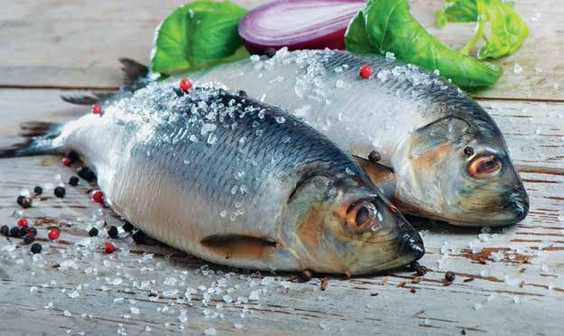 Иллюстрация к книге — Кулинарная энциклопедия. Том 9. Ж-И (Жинжинья – Исландская заправка) [_21.jpg]