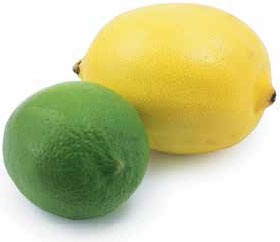 Иллюстрация к книге — Кулинарная энциклопедия. Том 9. Ж-И (Жинжинья – Исландская заправка) [_26.jpg]