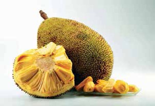 Иллюстрация к книге — Кулинарная энциклопедия. Том 8. Д-Ж (Даубе – Жимолость [_15.jpg]