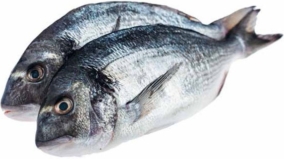 Иллюстрация к книге — Кулинарная энциклопедия. Том 8. Д-Ж (Даубе – Жимолость [_39.jpg]