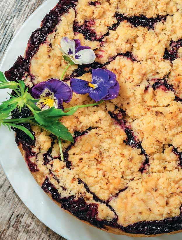 Иллюстрация к книге — Кулинарная энциклопедия. Том 8. Д-Ж (Даубе – Жимолость [_70.jpg]