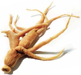 Иллюстрация к книге — Кулинарная энциклопедия. Том 8. Д-Ж (Даубе – Жимолость [_94.jpg]