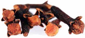 Иллюстрация к книге — Кулинарная энциклопедия. Том 6. Г (Гамбринус – Гранита) [_16.jpg]