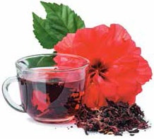 Иллюстрация к книге — Кулинарная энциклопедия. Том 6. Г (Гамбринус – Гранита) [_30.jpg]