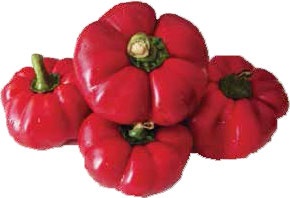 Иллюстрация к книге — Кулинарная энциклопедия. Том 6. Г (Гамбринус – Гранита) [_49.jpg]