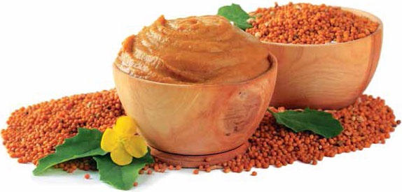 Иллюстрация к книге — Кулинарная энциклопедия. Том 6. Г (Гамбринус – Гранита) [_81.jpg]