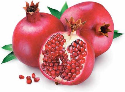 Иллюстрация к книге — Кулинарная энциклопедия. Том 6. Г (Гамбринус – Гранита) [_96.jpg]