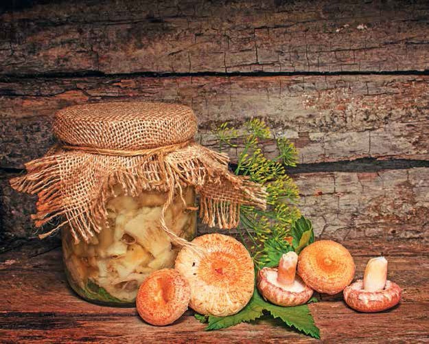 Иллюстрация к книге — Кулинарная энциклопедия. Том 5. В-Г (Венский шницель – Гамбо) [_75.jpg]