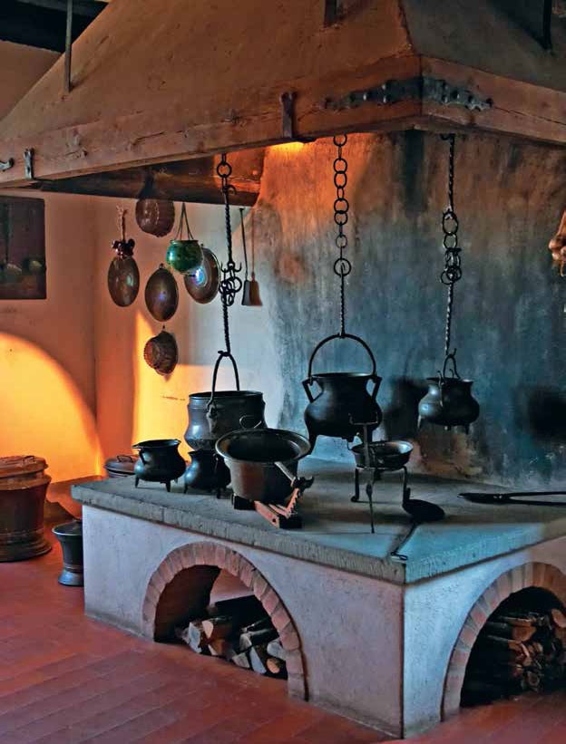 Иллюстрация к книге — Кулинарная энциклопедия. Том 5. В-Г (Венский шницель – Гамбо) [_87.jpg]