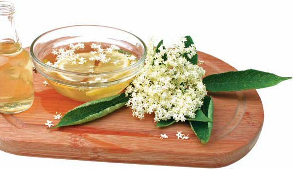 Иллюстрация к книге — Кулинарная энциклопедия. Том 4. Б-В (Брусника – Венгерские клёцки) [_24.jpg]