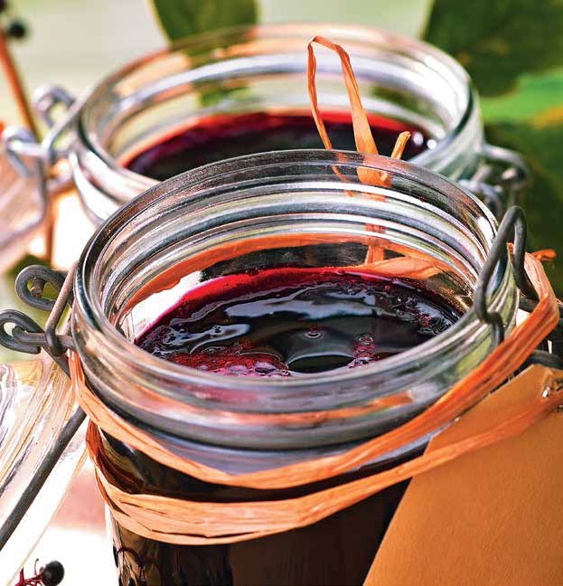 Иллюстрация к книге — Кулинарная энциклопедия. Том 4. Б-В (Брусника – Венгерские клёцки) [_25.jpg]